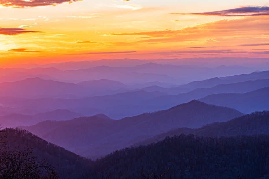 Always, Asheville